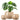 vancasso 3-Pack Ceramic Plant Pots, 3.7/4.8/6.2 Inch Indoor Planters with Saucers & Drainage Hole Planter pots for Indoor Plants and Flower, White