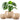 vancasso 3-Pack Ceramic Plant Pots, 3.7/4.8/6.2 Inch Indoor Planters with Saucers & Drainage Hole Planter pots for Indoor Plants and Flower, White